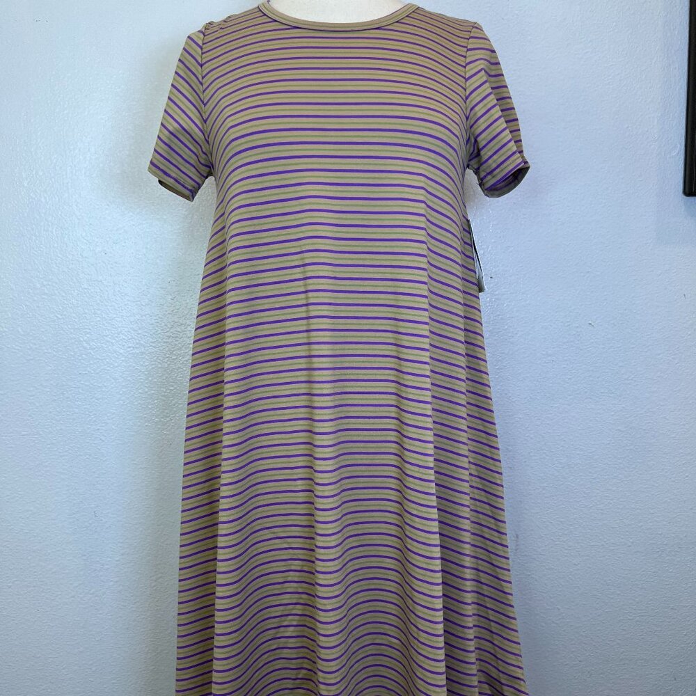 LuLaRoe Carly Stripe Purple Green Brown Hi-Lo Hem Front Pocket Dress Size‎ XS